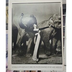 RICHARD AVEDON DOVIMA WITH ELEPHANTS, EVENING DRESS BY DIOR, Paris 1955